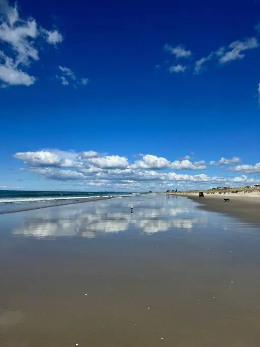 Ultimate Family Holiday - Pet Friendly! Papamoa New Zealand